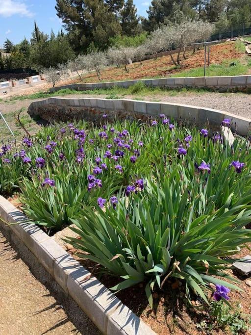 El-Cortijo Villa Siete Aguas Buitenkant foto
