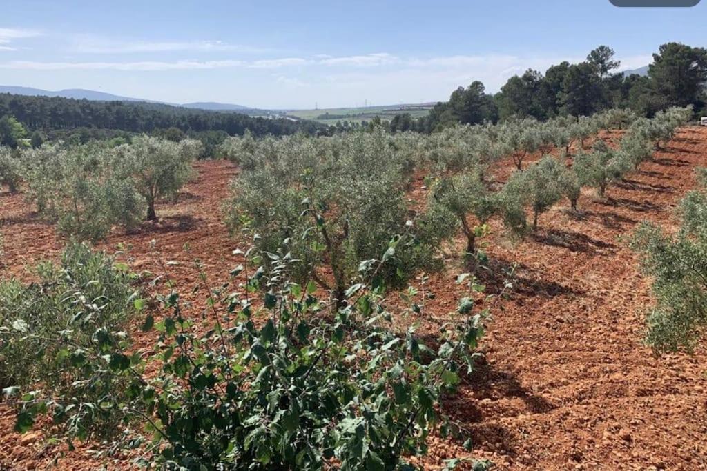 El-Cortijo Villa Siete Aguas Buitenkant foto